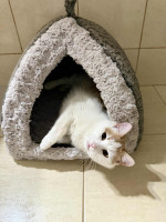 /album/113/whatsapp-image-2026-02-23-at-21-20-13-2-jpeg/